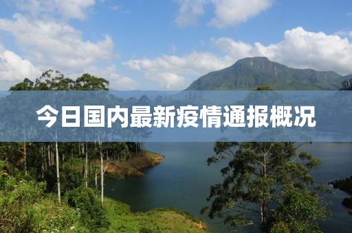 今日國(guó)內(nèi)最新疫情通報(bào)概況