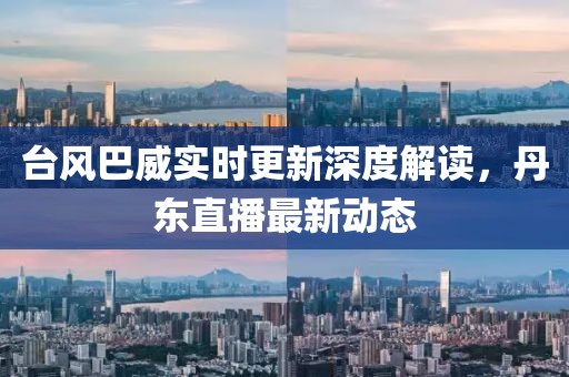 臺(tái)風(fēng)巴威實(shí)時(shí)更新深度解讀，丹東直播最新動(dòng)態(tài)