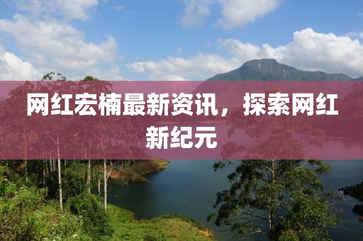 網(wǎng)紅宏楠最新資訊，探索網(wǎng)紅新紀(jì)元