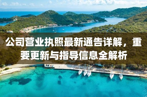 公司營(yíng)業(yè)執(zhí)照最新通告詳解，重要更新與指導(dǎo)信息全解析