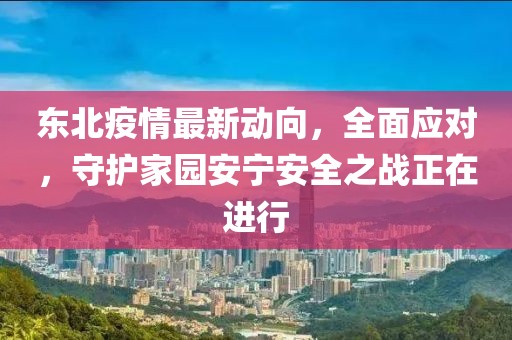 東北疫情最新動向，全面應(yīng)對，守護家園安寧安全之戰(zhàn)正在進行