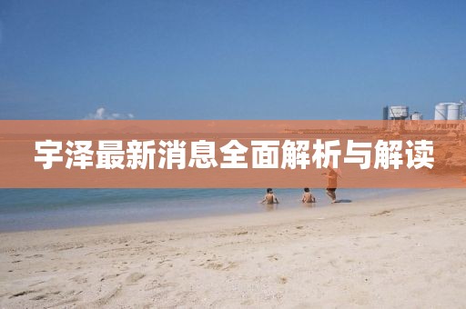 宇澤最新消息全面解析與解讀