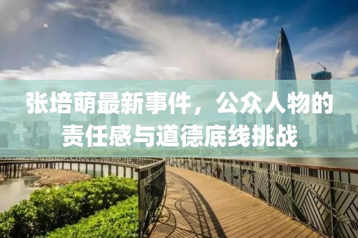 張培萌最新事件，公眾人物的責(zé)任感與道德底線挑戰(zhàn)