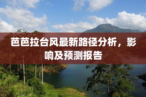 芭芭拉臺風(fēng)最新路徑分析，影響及預(yù)測報告