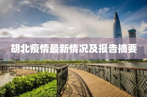 胡北疫情最新情況及報告摘要