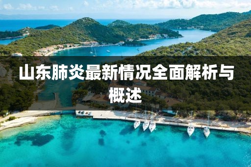 山東肺炎最新情況全面解析與概述