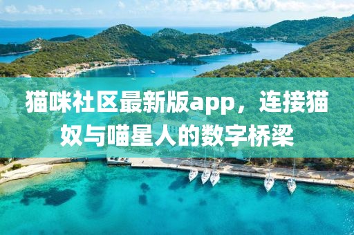 貓咪社區(qū)最新版app，連接貓奴與喵星人的數(shù)字橋梁