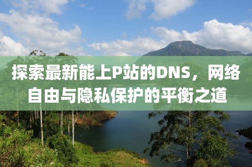 探索最新能上P站的DNS，網(wǎng)絡(luò)自由與隱私保護(hù)的平衡之道