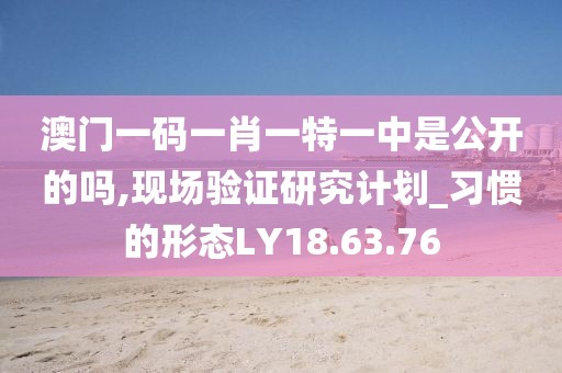 澳門一碼一肖一特一中是公開的嗎,現場驗證研究計劃_習慣的形態(tài)LY18.63.76