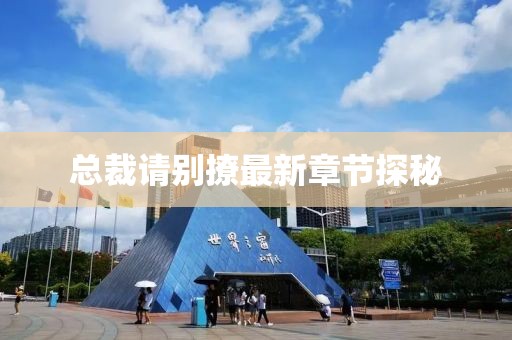 總裁請別撩最新章節(jié)探秘