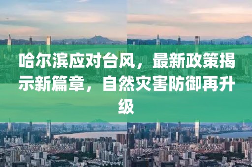 哈爾濱應對臺風，最新政策揭示新篇章，自然災害防御再升級