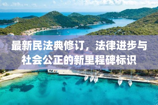 最新民法典修訂，法律進步與社會公正的新里程碑標識
