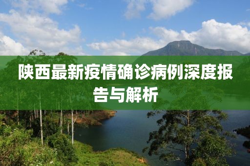 陜西最新疫情確診病例深度報(bào)告與解析