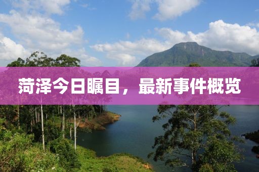 菏澤今日矚目，最新事件概覽