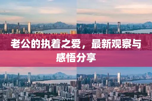 老公的執(zhí)著之愛，最新觀察與感悟分享