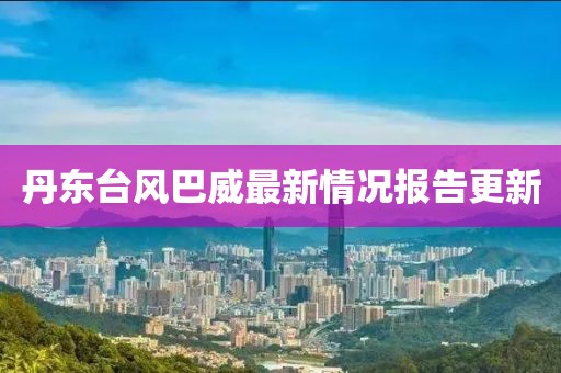 丹東臺風(fēng)巴威最新情況報(bào)告更新