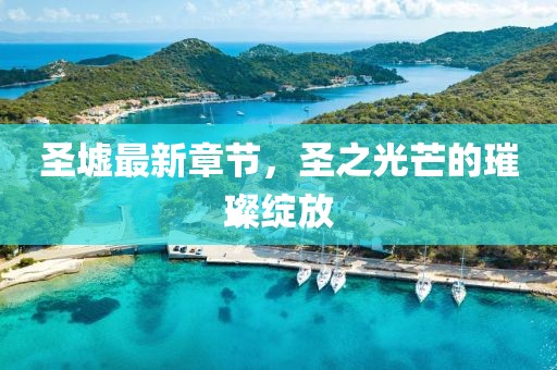 圣墟最新章節(jié)，圣之光芒的璀璨綻放