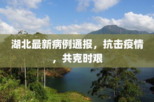 湖北最新病例通報，抗擊疫情，共克時艱