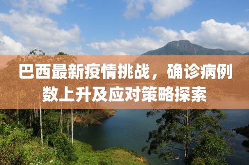 巴西最新疫情挑戰(zhàn)，確診病例數(shù)上升及應(yīng)對策略探索