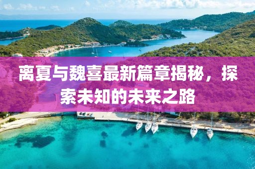 離夏與魏喜最新篇章揭秘，探索未知的未來(lái)之路