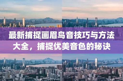最新捕捉畫眉鳥音技巧與方法大全，捕捉優(yōu)美音色的秘訣