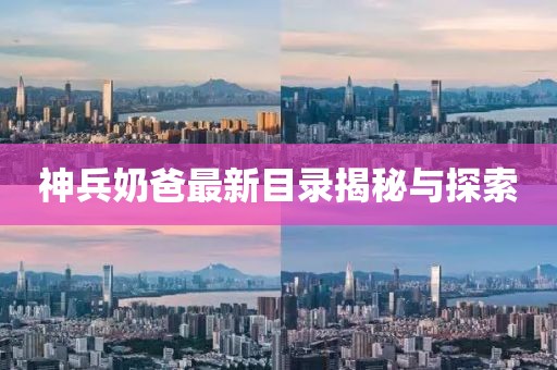 神兵奶爸最新目錄揭秘與探索