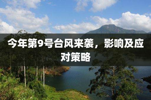 今年第9號(hào)臺(tái)風(fēng)來襲，影響及應(yīng)對(duì)策略