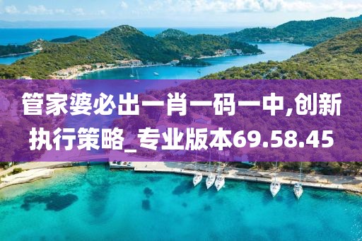 管家婆必出一肖一碼一中,創(chuàng)新執(zhí)行策略_專(zhuān)業(yè)版本69.58.45