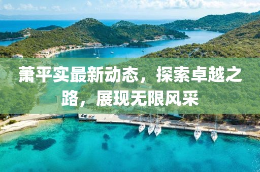 蕭平實(shí)最新動(dòng)態(tài)，探索卓越之路，展現(xiàn)無限風(fēng)采