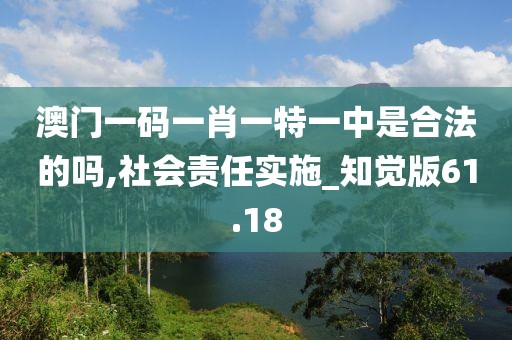 澳門一碼一肖一特一中是合法的嗎,社會責(zé)任實施_知覺版61.18