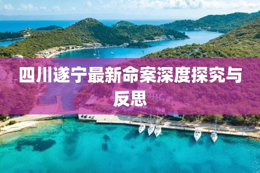 翩翩若驚鴻 第13頁