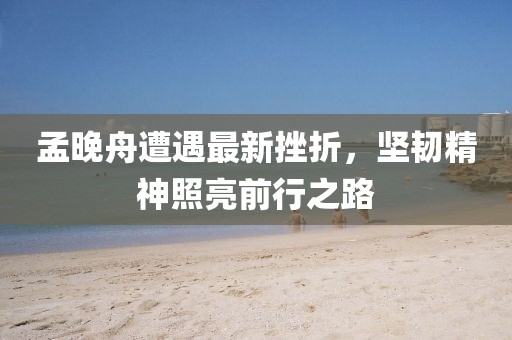 孟晚舟遭遇最新挫折，堅(jiān)韌精神照亮前行之路