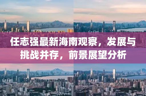 任志強最新海南觀察，發(fā)展與挑戰(zhàn)并存，前景展望分析