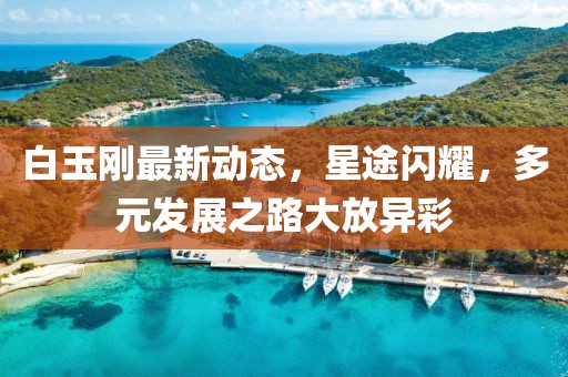 白玉剛最新動(dòng)態(tài)，星途閃耀，多元發(fā)展之路大放異彩