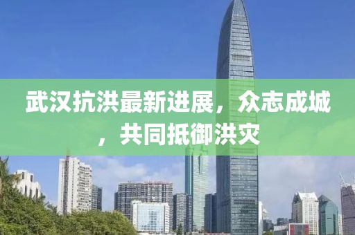 武漢抗洪最新進(jìn)展，眾志成城，共同抵御洪災(zāi)
