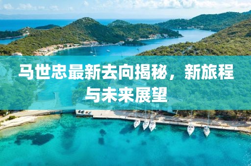 馬世忠最新去向揭秘，新旅程與未來展望