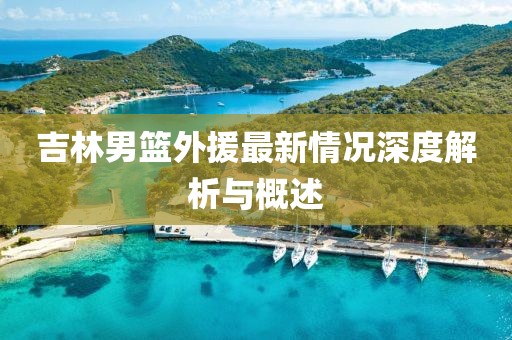 吉林男籃外援最新情況深度解析與概述