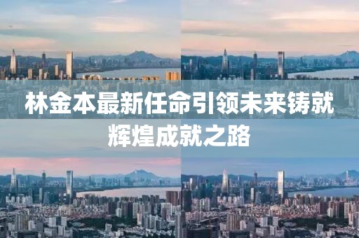 林金本最新任命引領未來鑄就輝煌成就之路