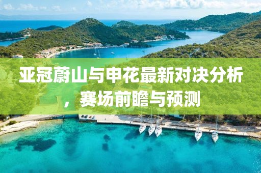 亞冠蔚山與申花最新對決分析，賽場前瞻與預(yù)測