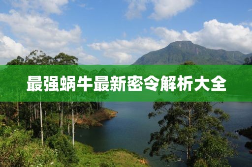 最強蝸牛最新密令解析大全