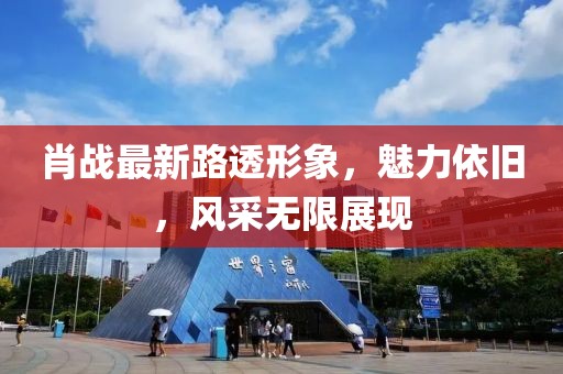 肖戰(zhàn)最新路透形象，魅力依舊，風(fēng)采無限展現(xiàn)