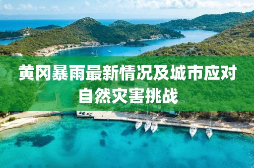 黃岡暴雨最新情況及城市應對自然災害挑戰(zhàn)