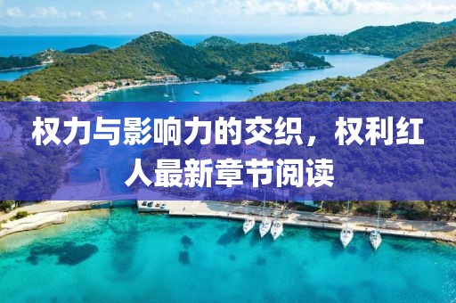 權(quán)力與影響力的交織，權(quán)利紅人最新章節(jié)閱讀