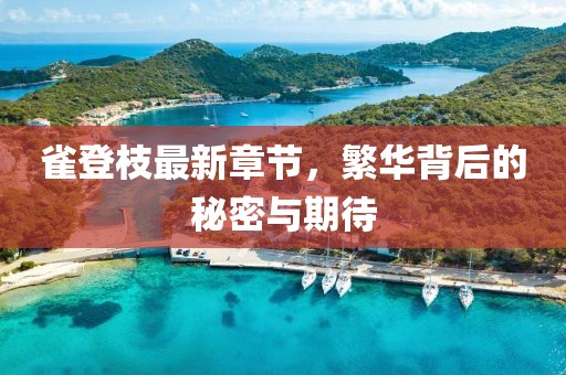 雀登枝最新章節(jié)，繁華背后的秘密與期待