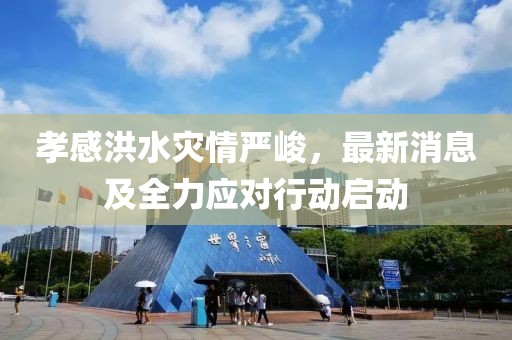 孝感洪水災(zāi)情嚴(yán)峻，最新消息及全力應(yīng)對(duì)行動(dòng)啟動(dòng)