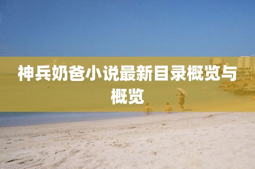 神兵奶爸小說(shuō)最新目錄概覽與概覽