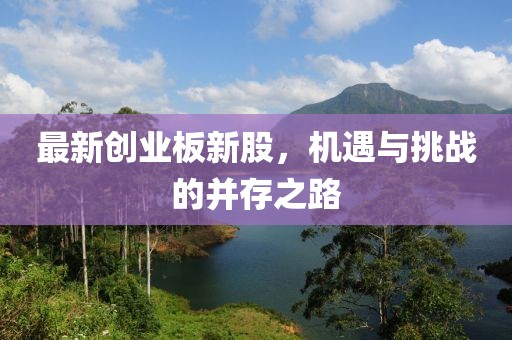 最新創(chuàng)業(yè)板新股，機(jī)遇與挑戰(zhàn)的并存之路
