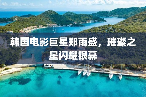 韓國電影巨星鄭雨盛，璀璨之星閃耀銀幕