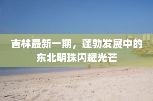 吉林最新一期，蓬勃發(fā)展中的東北明珠閃耀光芒