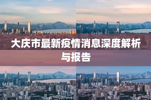 大慶市最新疫情消息深度解析與報告